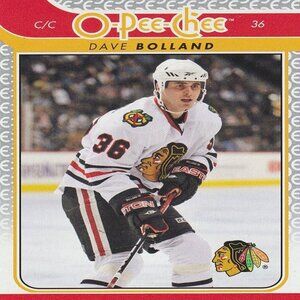 Dave Bolland - 2009-10 O Pee Chee Hockey Card